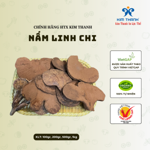 Nấm linh chi Kim Thanh